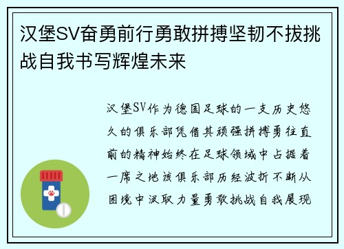 汉堡SV奋勇前行勇敢拼搏坚韧不拔挑战自我书写辉煌未来